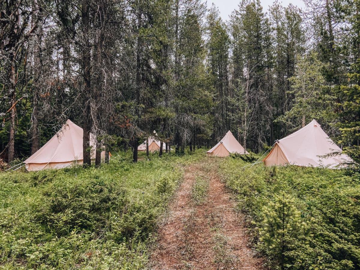 Wander Camp Glacier Otel Coram Dış mekan fotoğraf